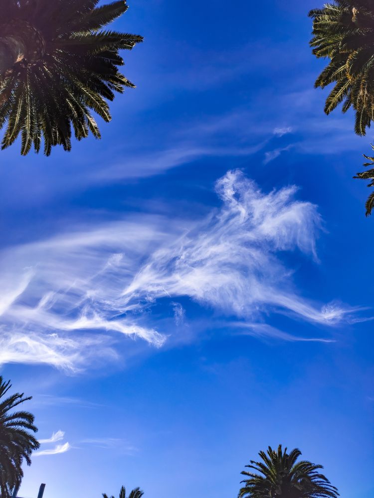 Photograph by Jear Cautivar