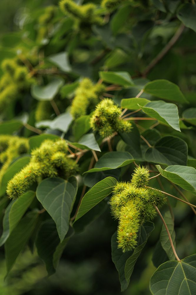 Photograph by Румия Кондакова