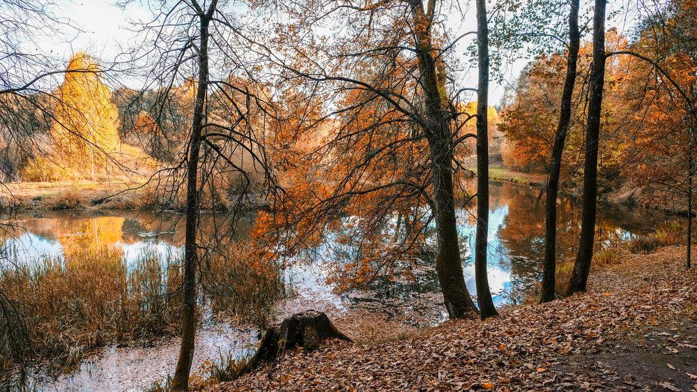 Фотография автора Александр Буренко