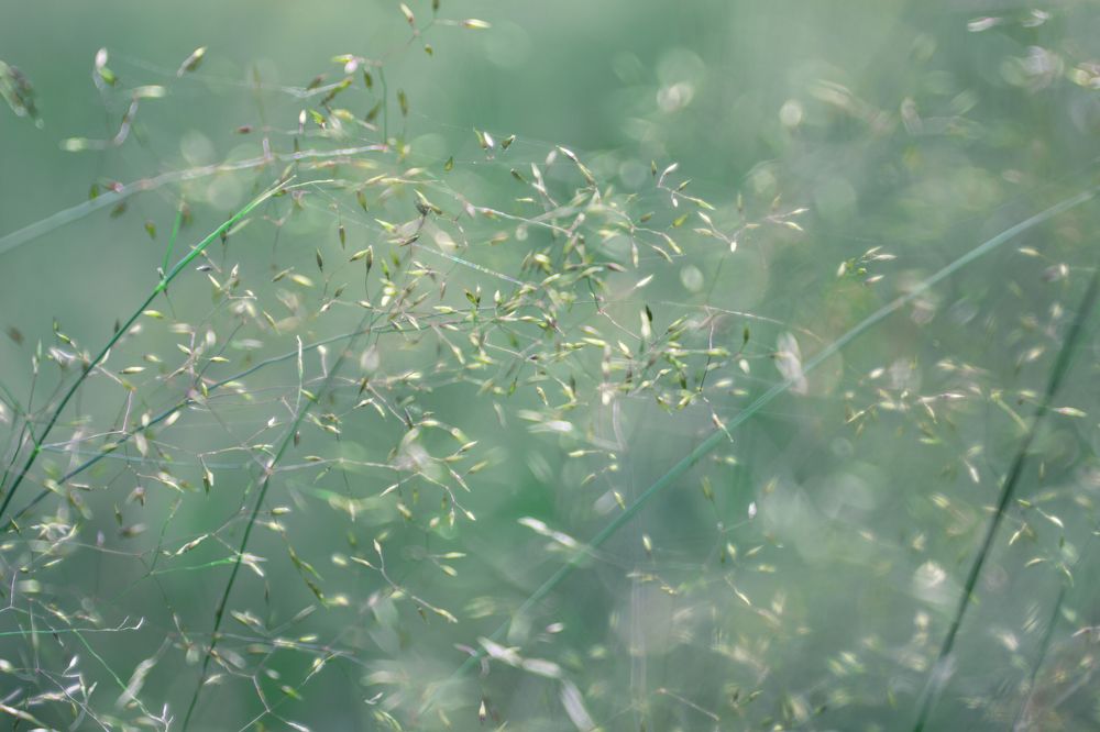 Фотография автора Алексей
