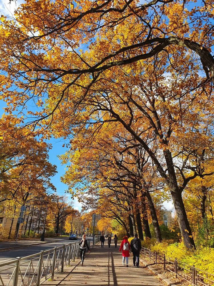 Photograph by Алина Логвиненко