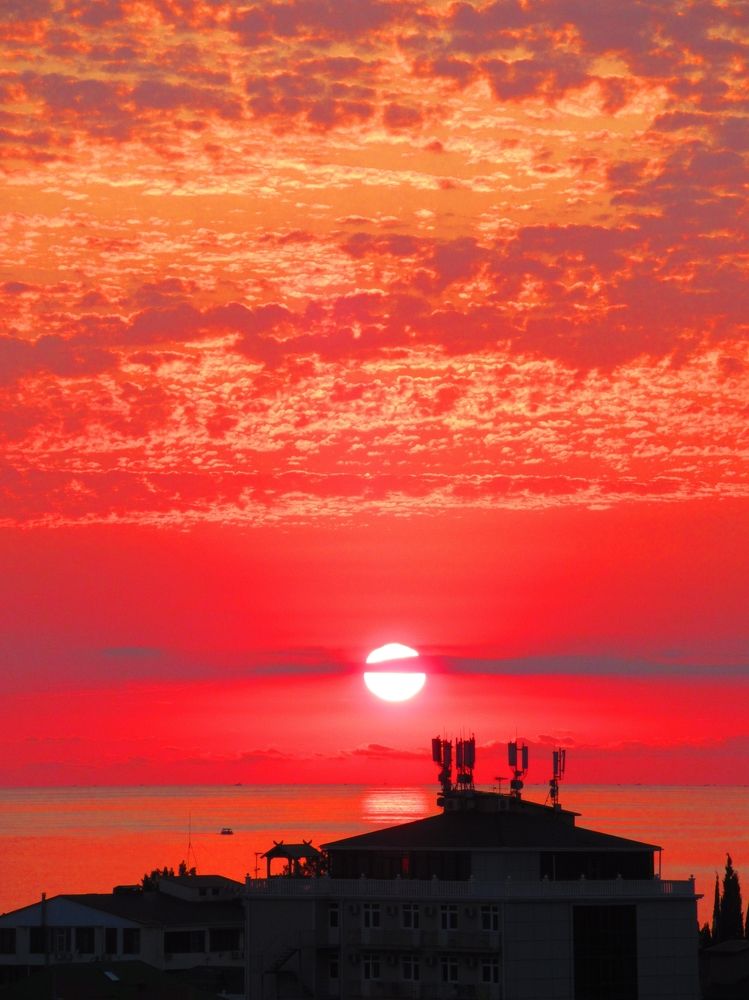 Photograph by Ольга Рогозина