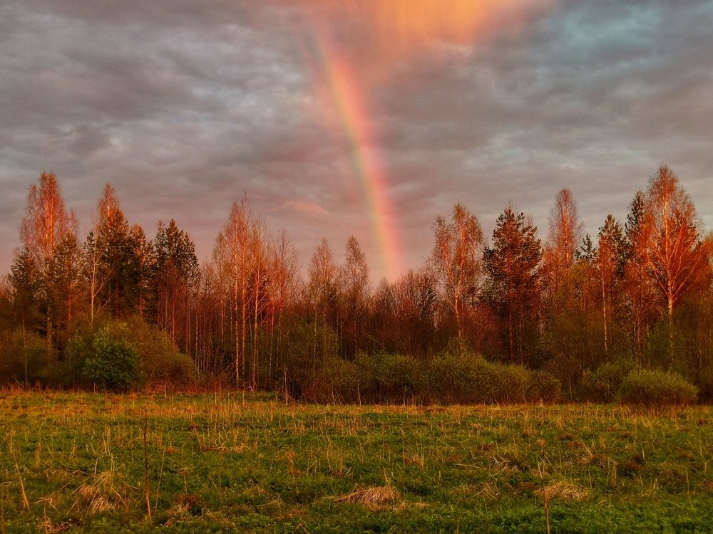 Photograph by 