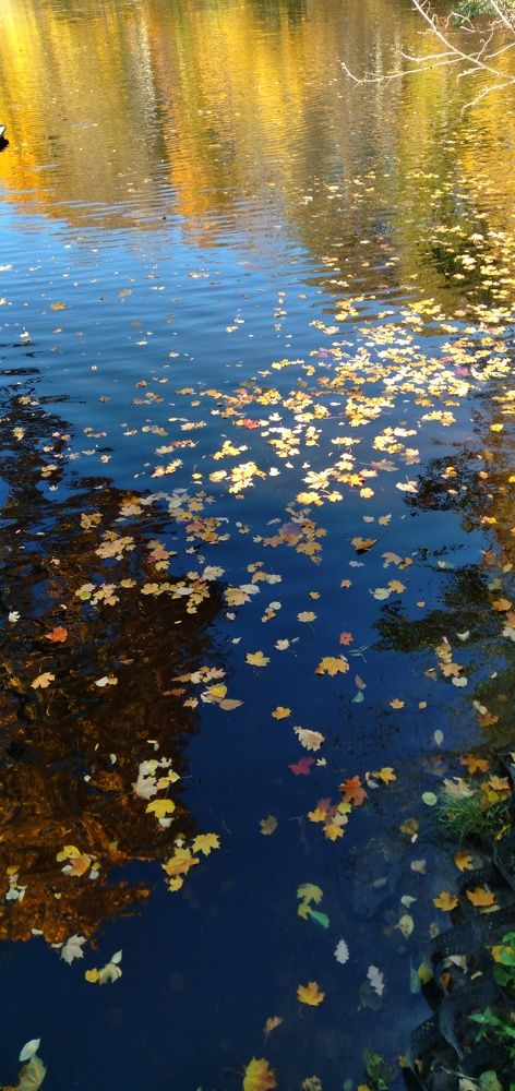 Photograph by Любовь Макарова