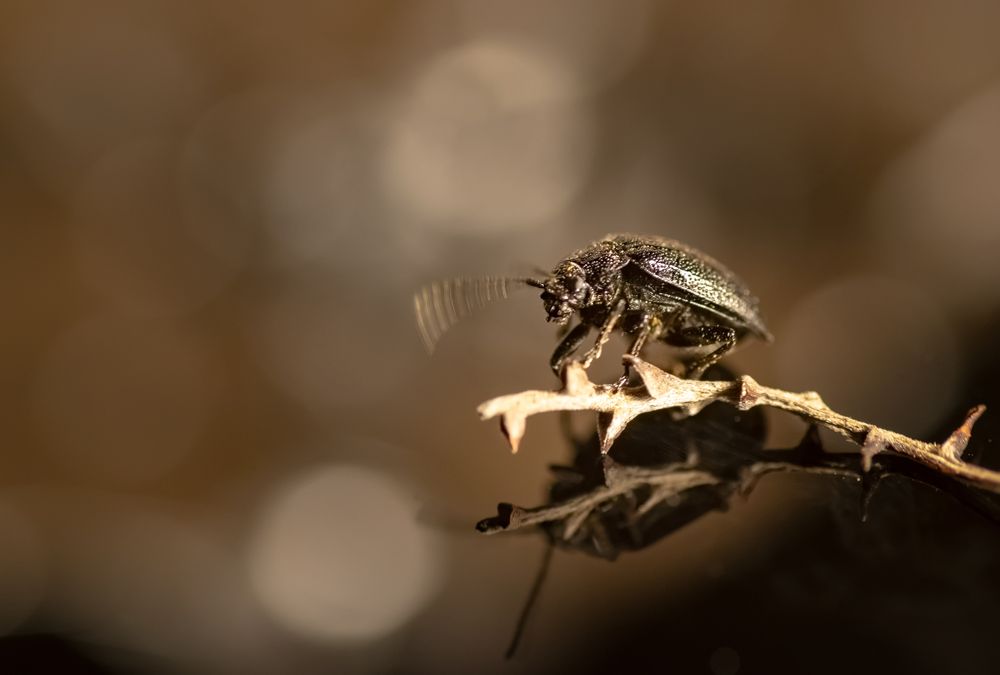 Фотография автора Jorge Herraiz