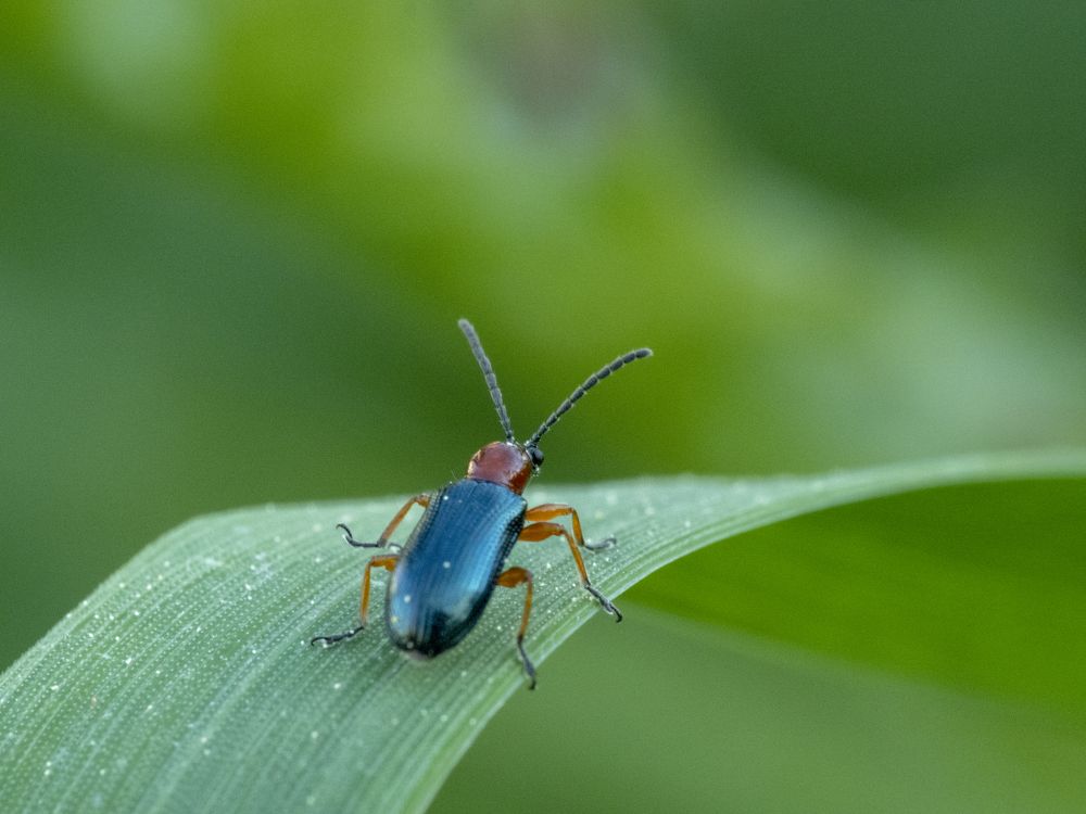 Фотография автора Jorge Herraiz