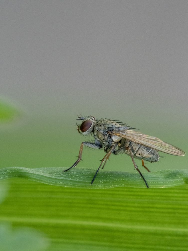 Фотография автора Jorge Herraiz