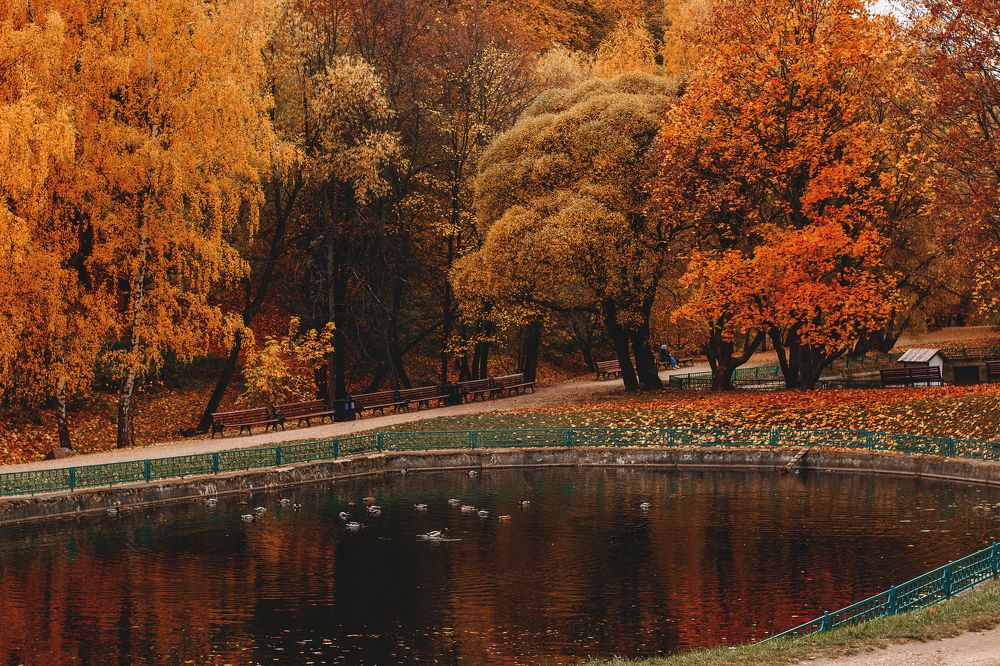 Photograph by Татьяна