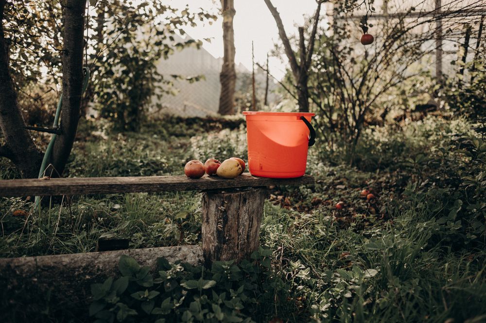 Photograph by Евгения Юдина