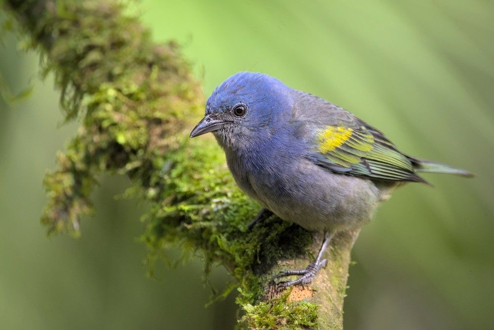 Photograph by Eduardo Bom