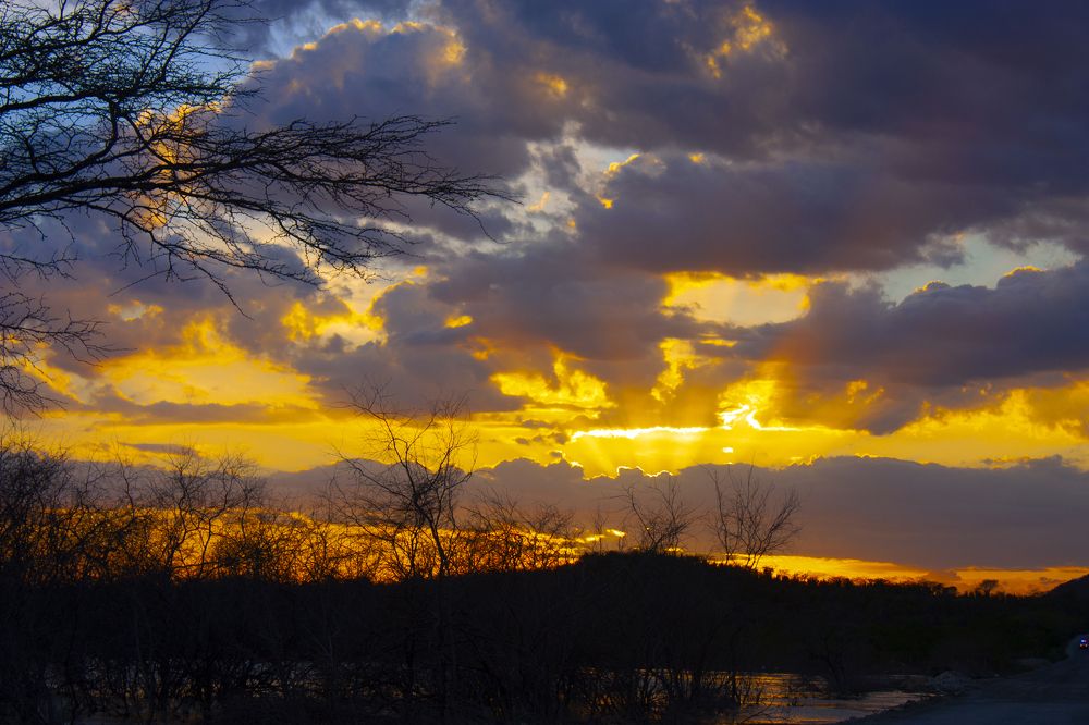 Photograph by Luciano Comba