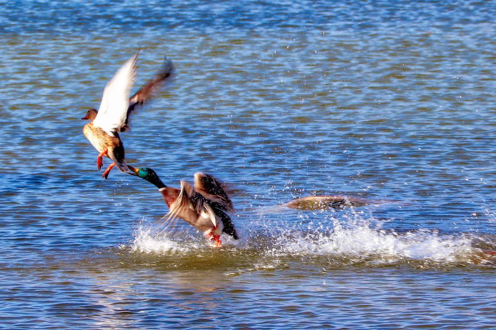 Photograph by Georgiades Socratis