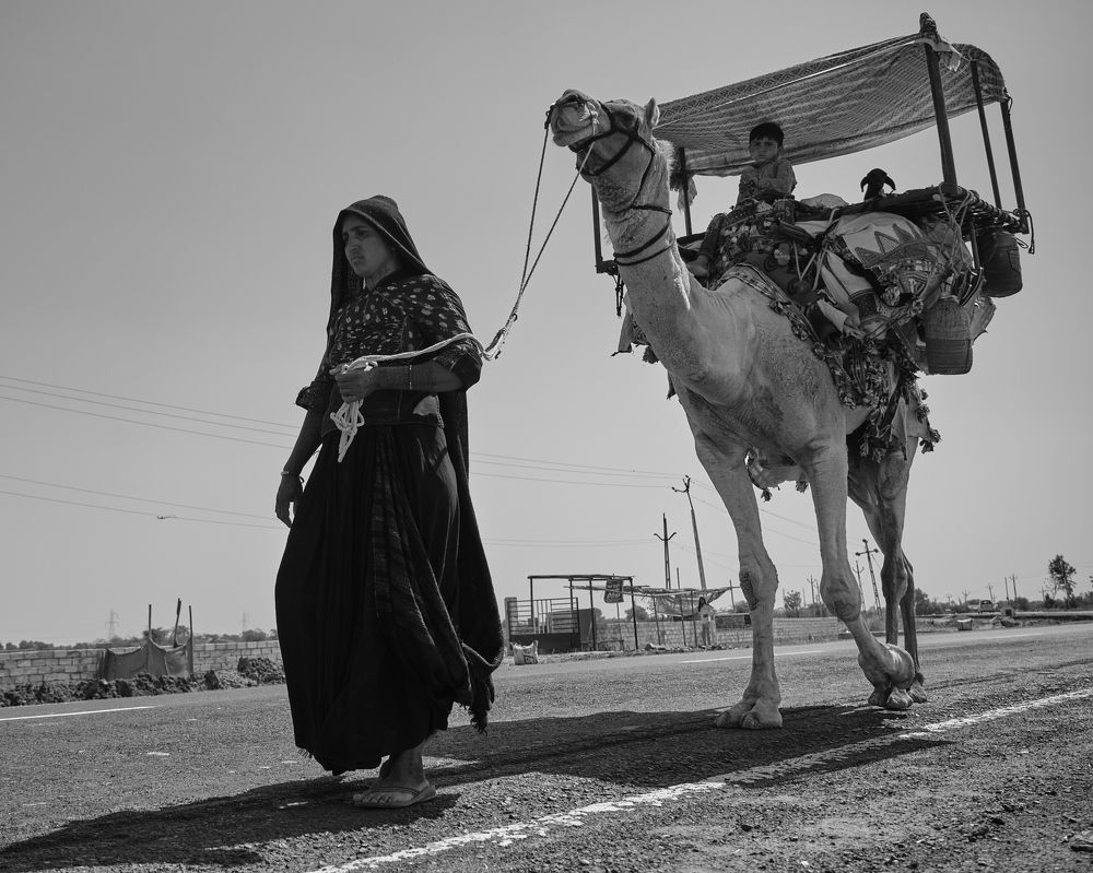 Photograph by Darshan Shah