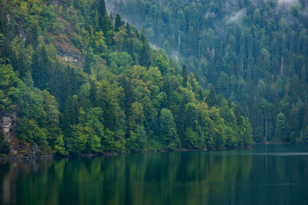 Фотография автора Тамара Нижельская