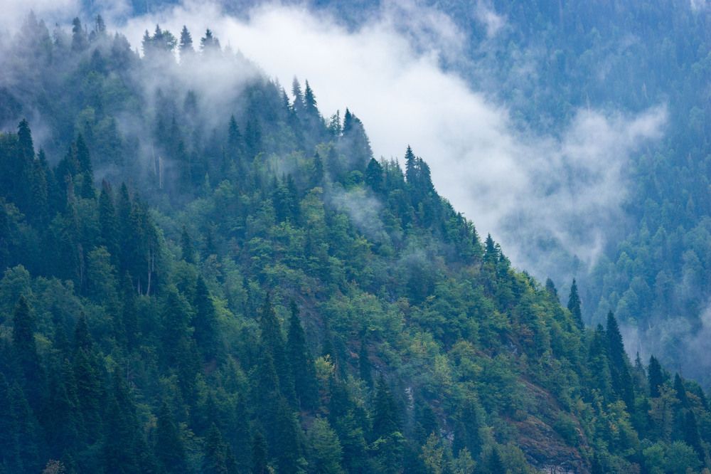 Фотография автора Тамара Нижельская