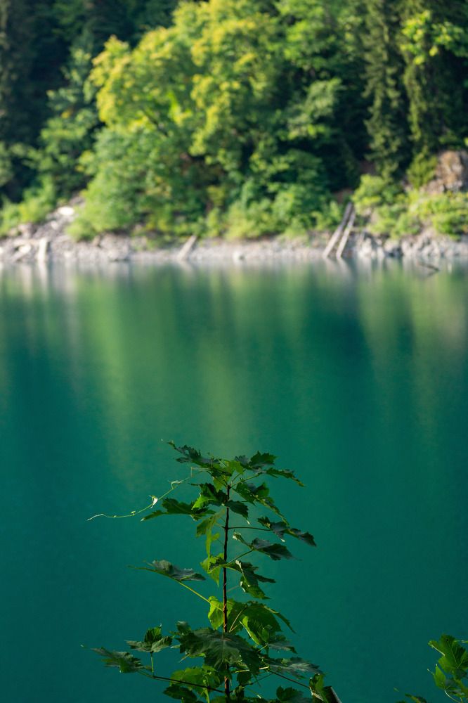 Фотография автора Тамара Нижельская