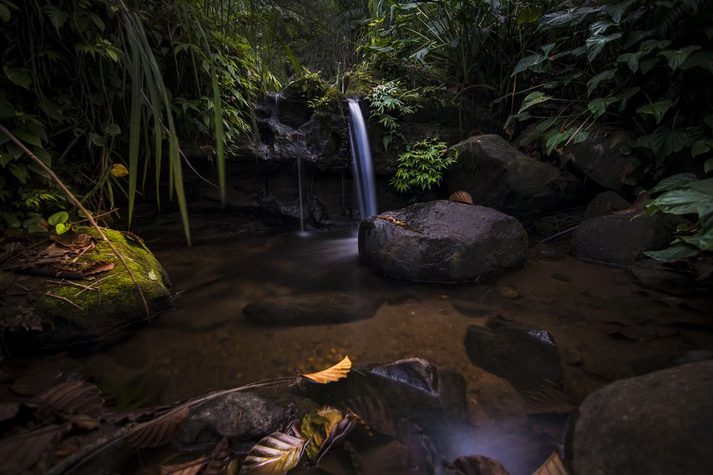 Фотография автора Lahiru Sihina