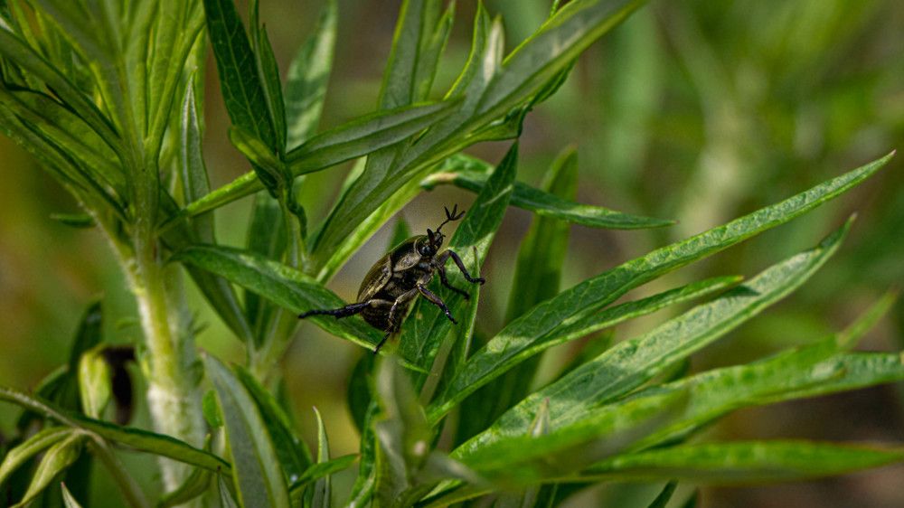 Photograph by Игорь Иванов