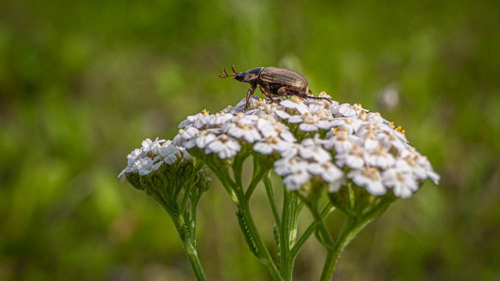Photograph by Игорь Иванов