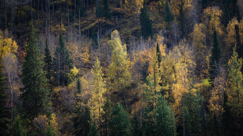 Photograph by Ivan Fedyanin