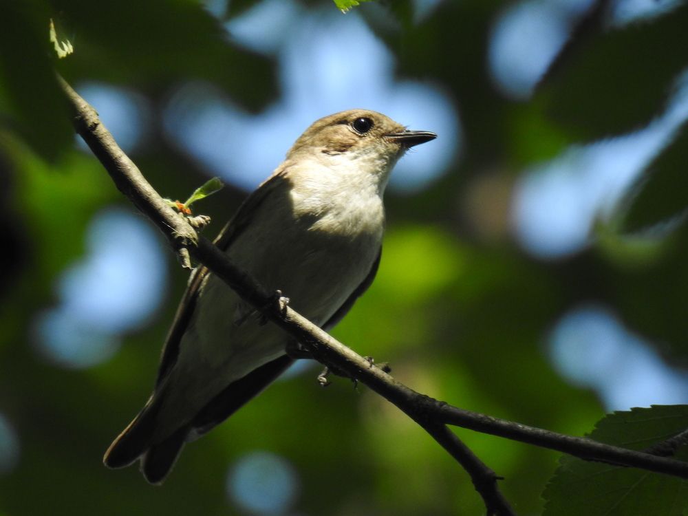 Photograph by Георгий Салюков