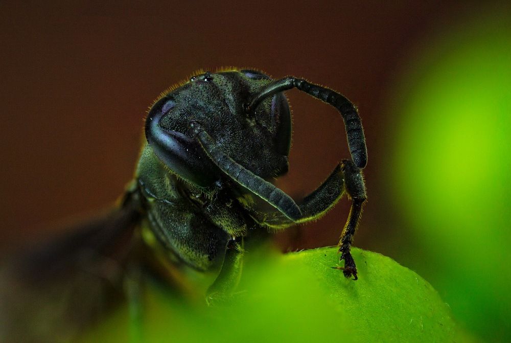 Photograph by Elieser Lopes Barbosa