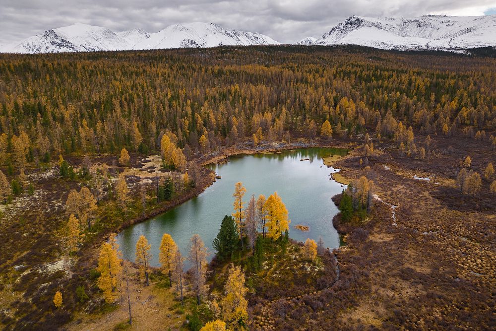 Photograph by Александр Нерозя