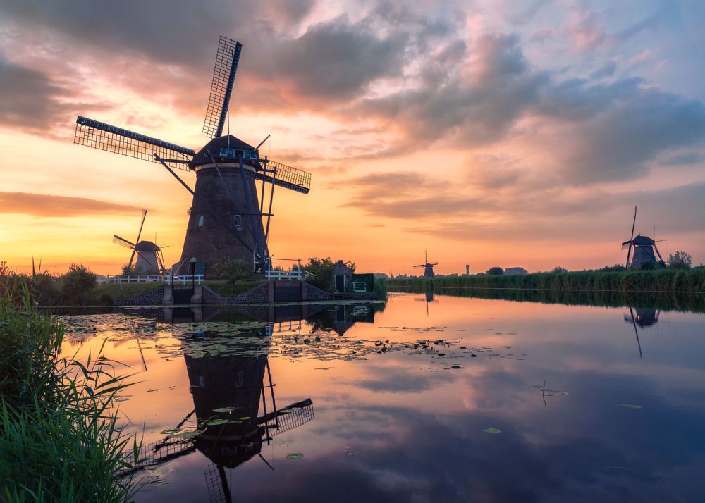 Photograph by Go Andy