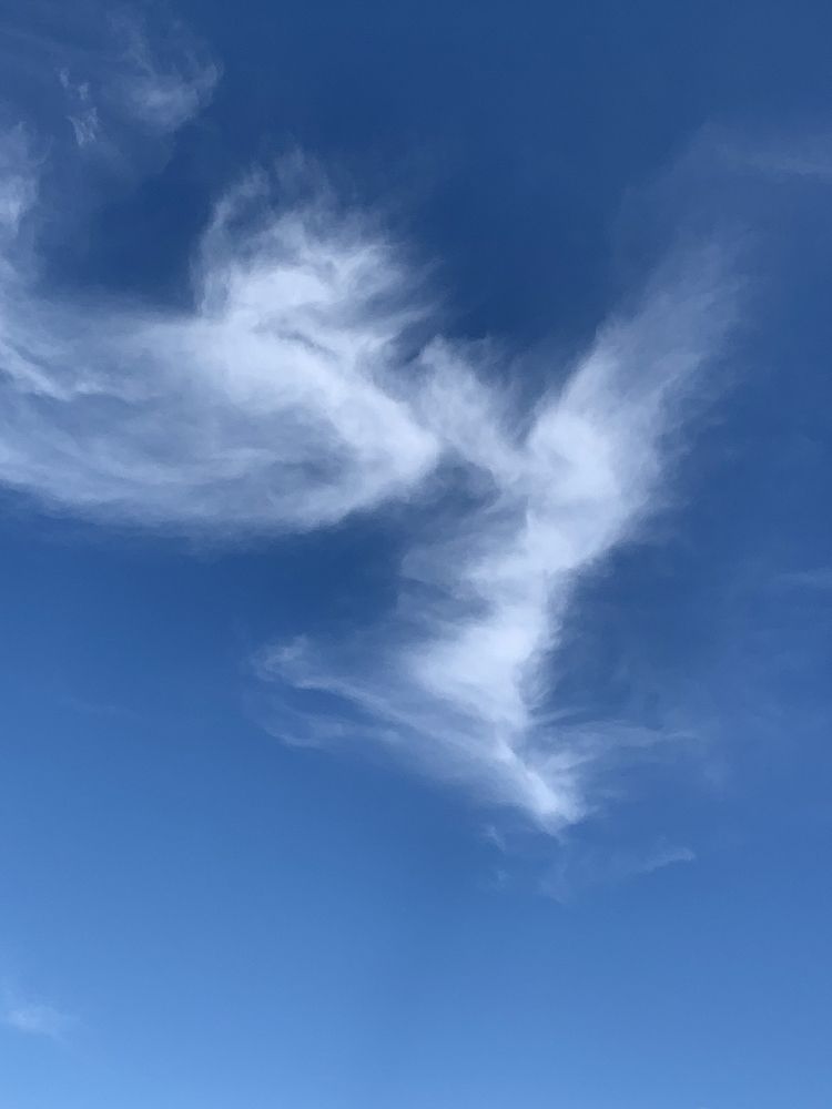 Photograph by Liliana Grup