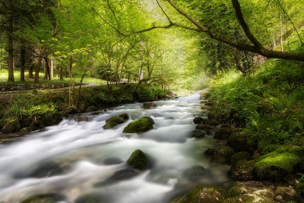 Photograph by Сергей Романченко