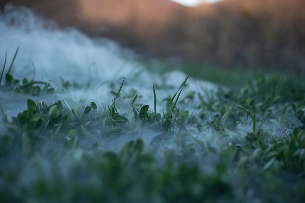 Photograph by Anna D.