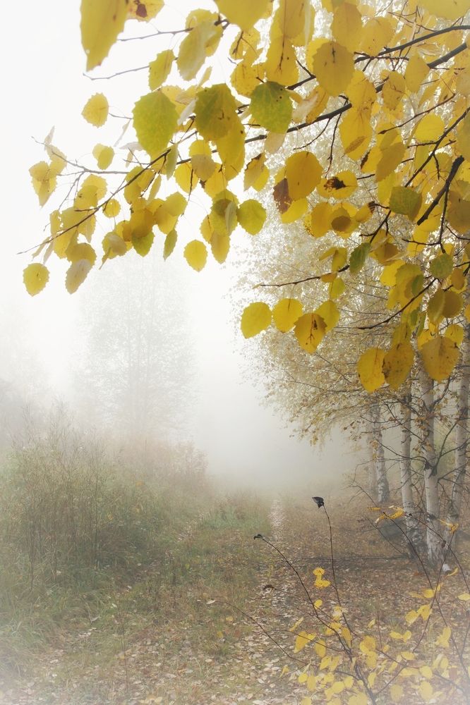 Photograph by Юрий Гау