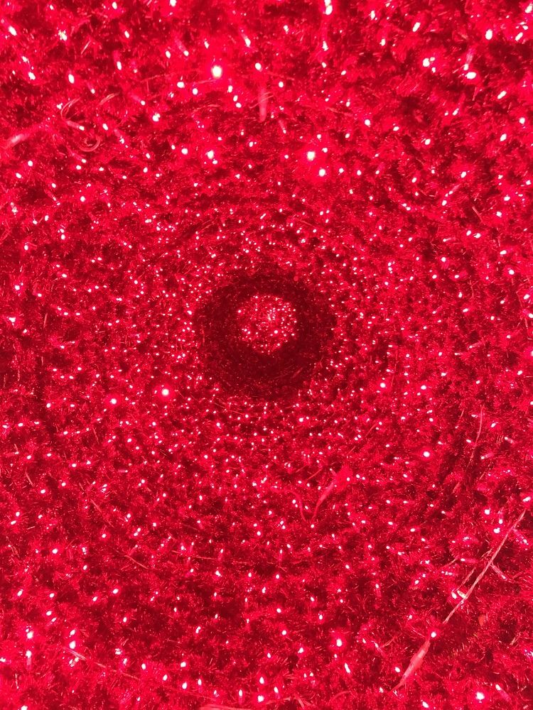 Photograph by Olesia Bulich