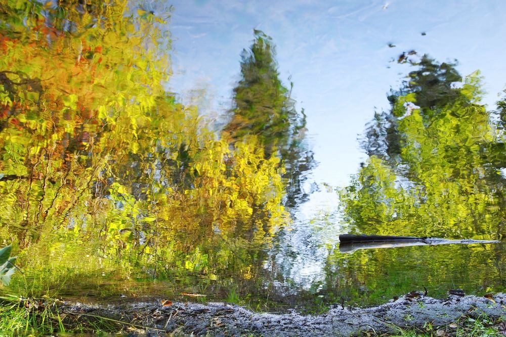 Photograph by Юрий Гау