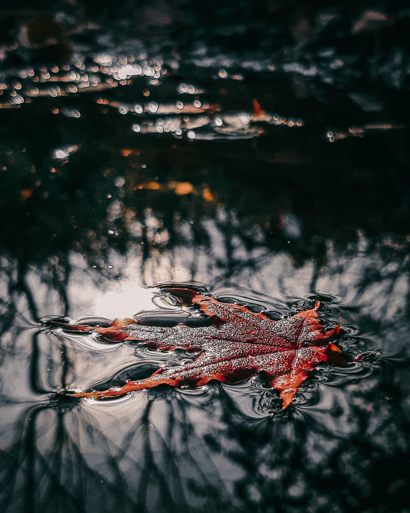 Круги на воде