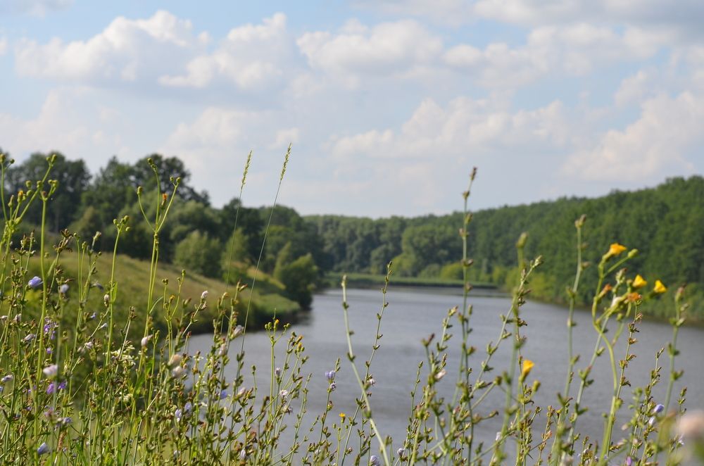 Photograph by Natasha Efanova