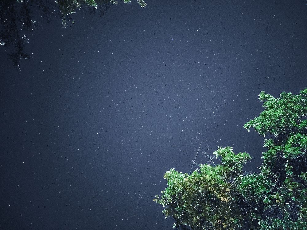 Photograph by Maria Filatova