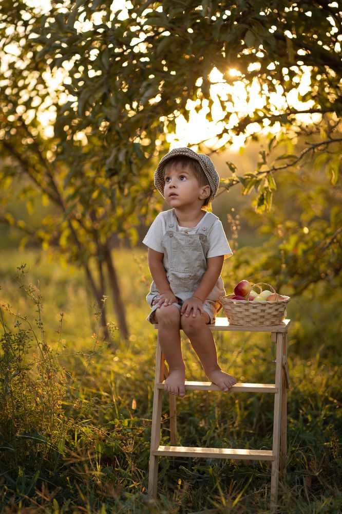 Фотография автора Мария Лютикова