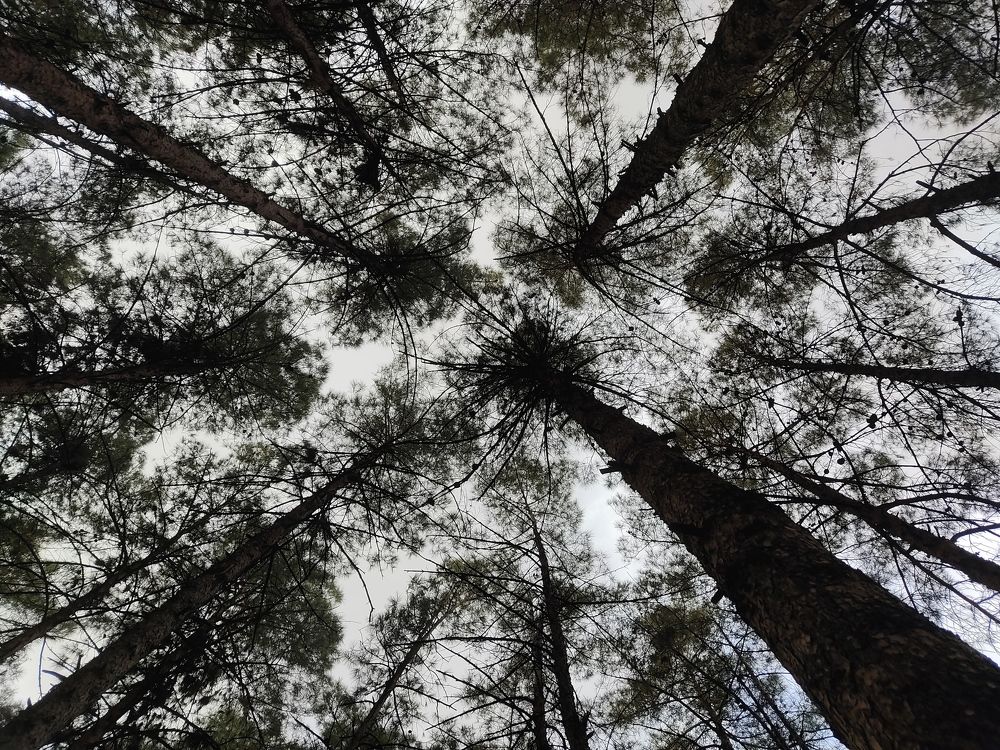 Photograph by Mahdi Tohidi