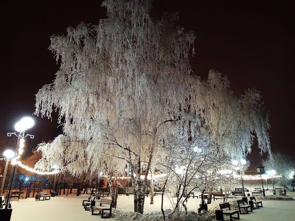 Photograph by Владимир Сушкин