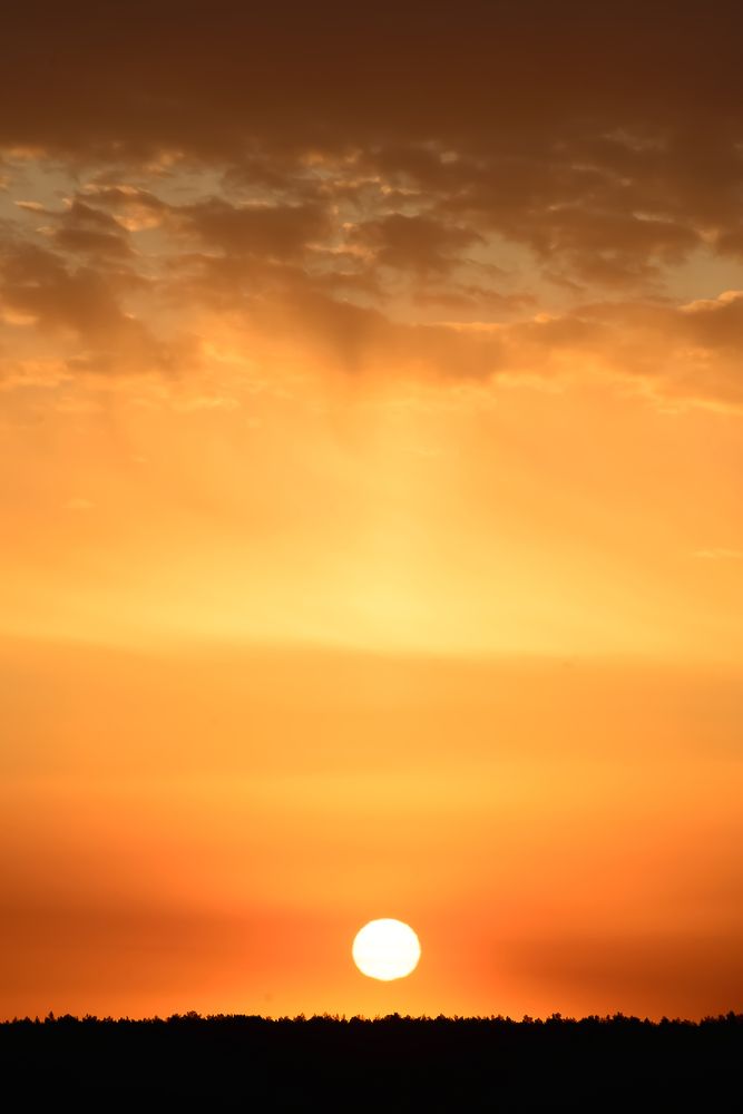 Photograph by Ольга Шибяева