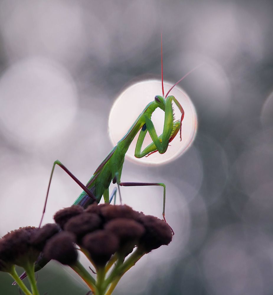 Photograph by Лукашук Евгений