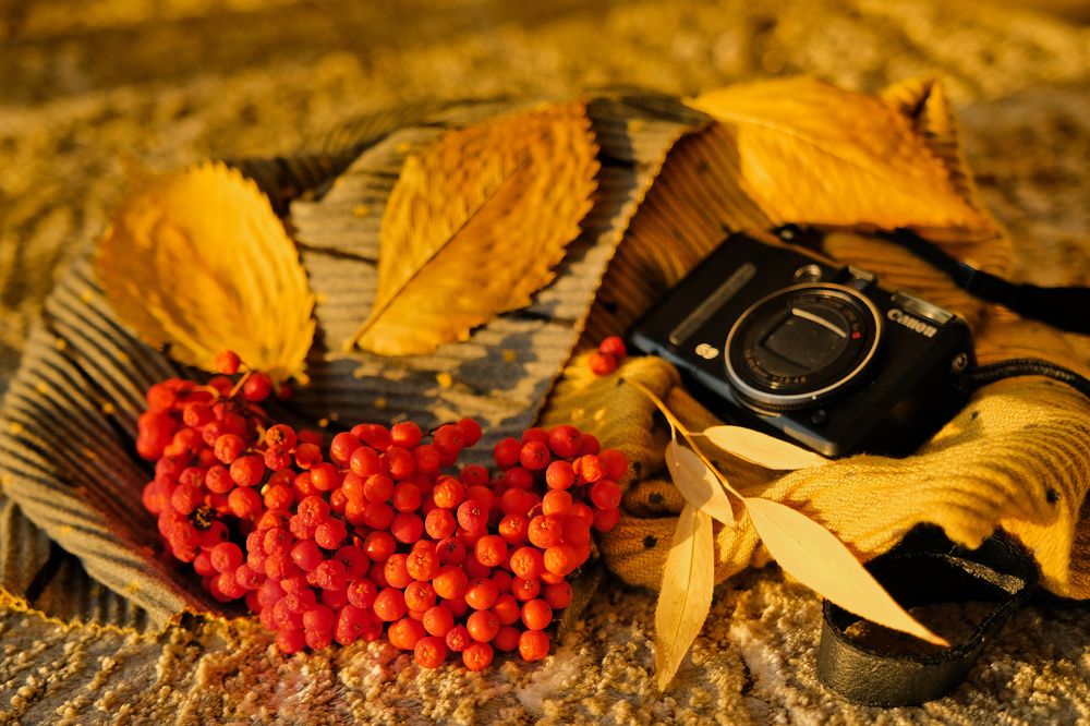 Photograph by Сергей Кесаев