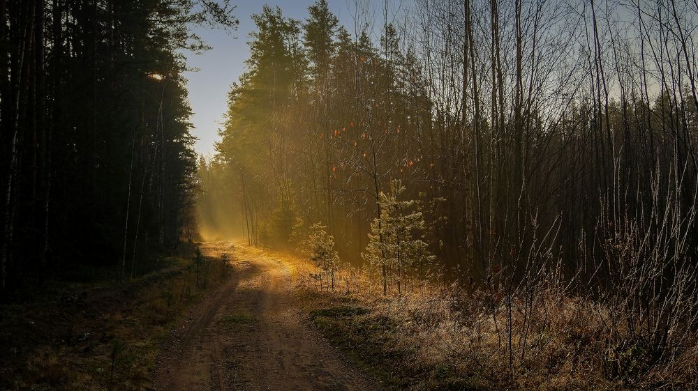 Фотография автора Юрий Цыркунов