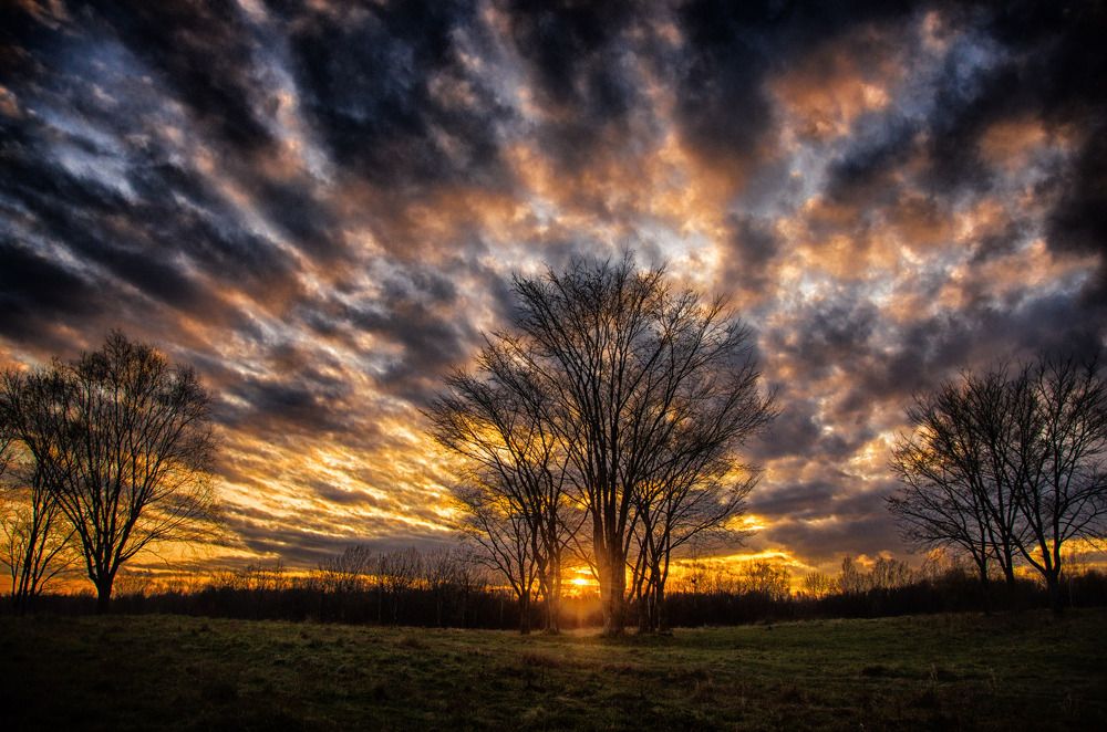 Photograph by Даниил Марков