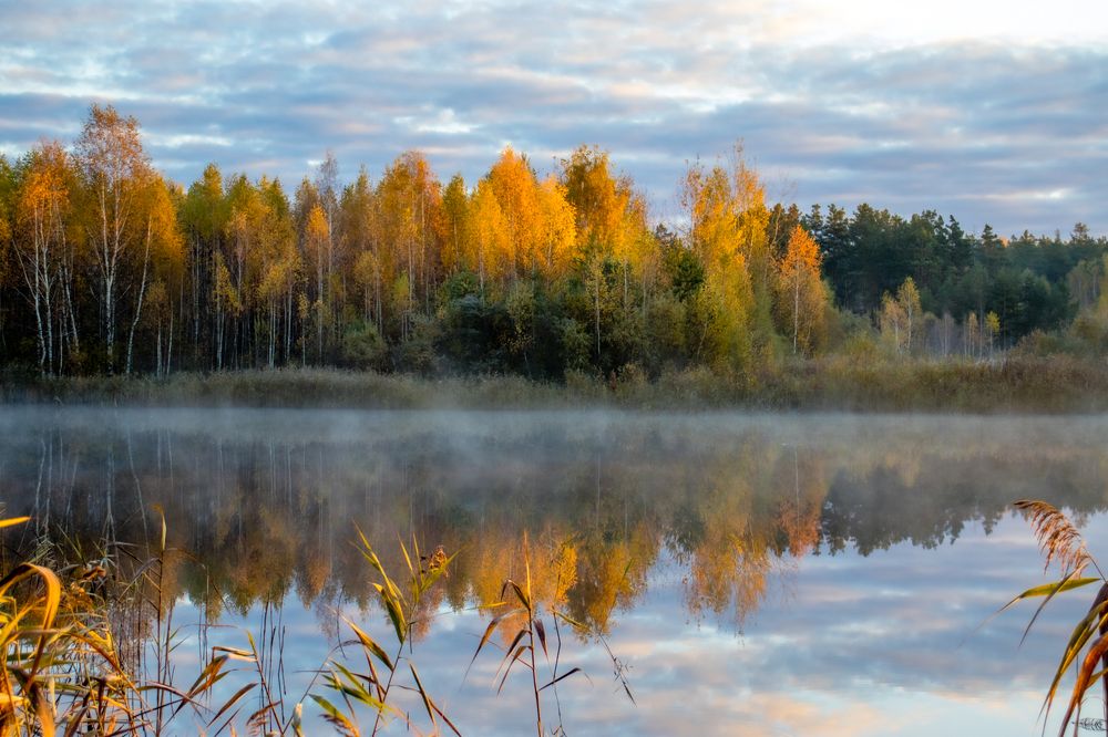 Photograph by Павел Дударев