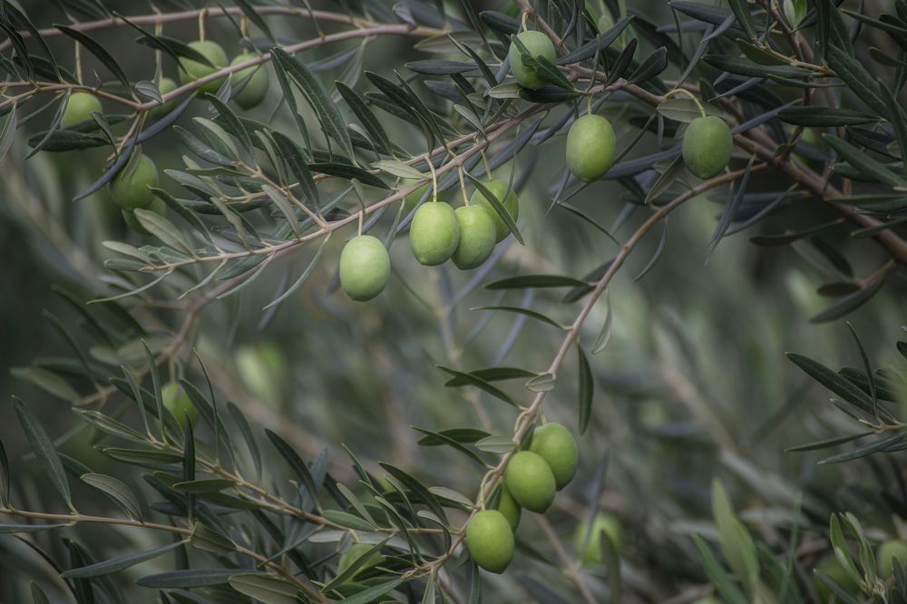 Photograph by Leanid Kulpo