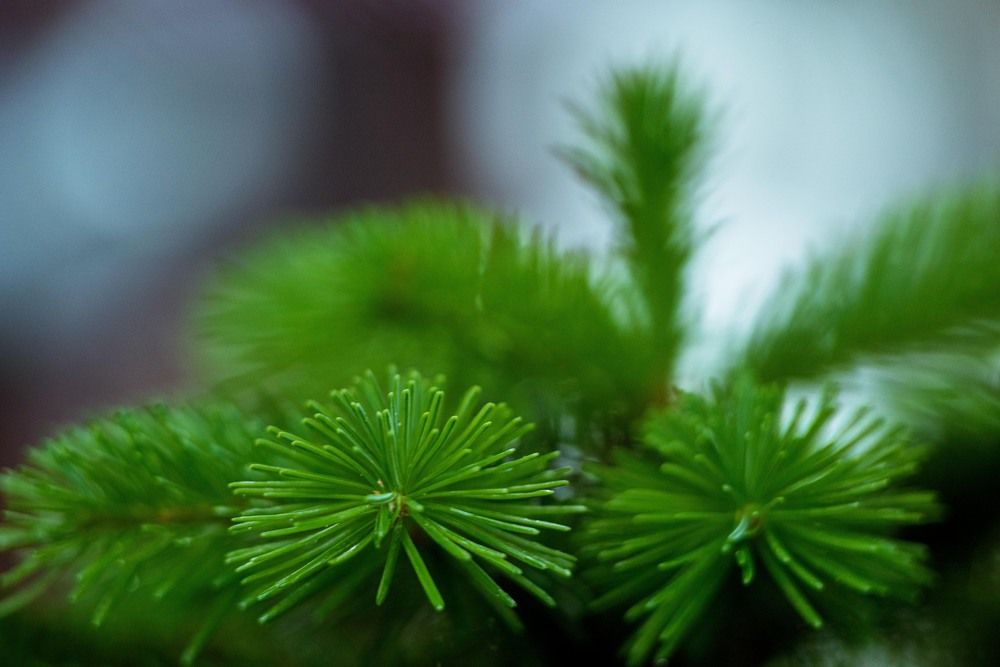 Photograph by Равиль Исмаилов