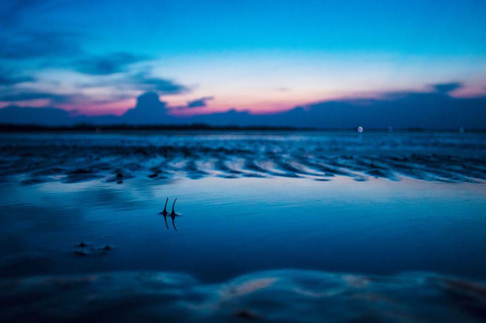 Photograph by Arnab Jana