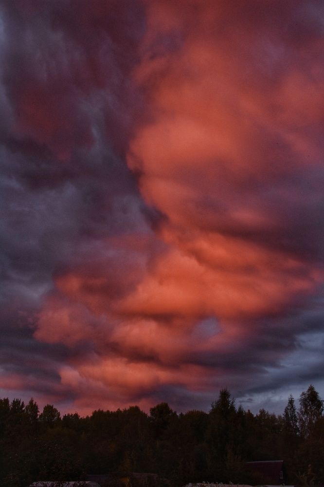 Photograph by Татьяна Абабкова